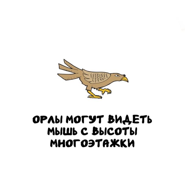 �����, ������� ������: �� �������-����� �� ������������ �������