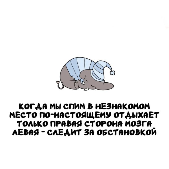 �����, ������� ������: �� �������-����� �� ������������ �������