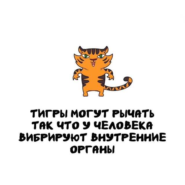 �����, ������� ������: �� �������-����� �� ������������ �������