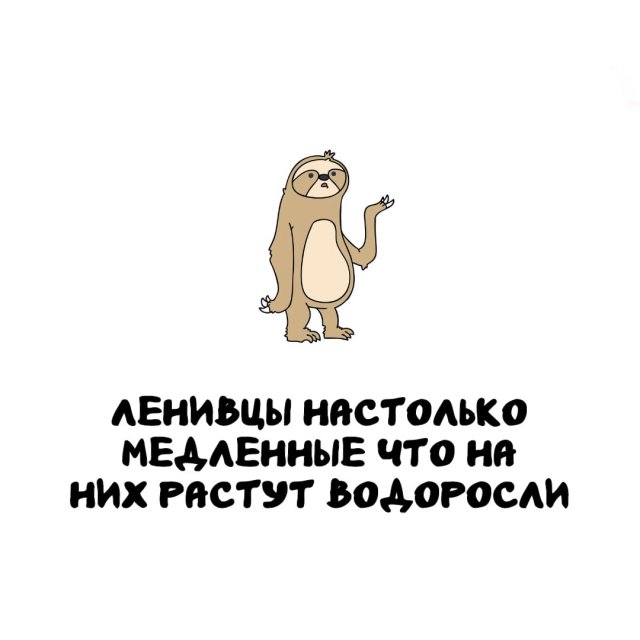 �����, ������� ������: �� �������-����� �� ������������ �������