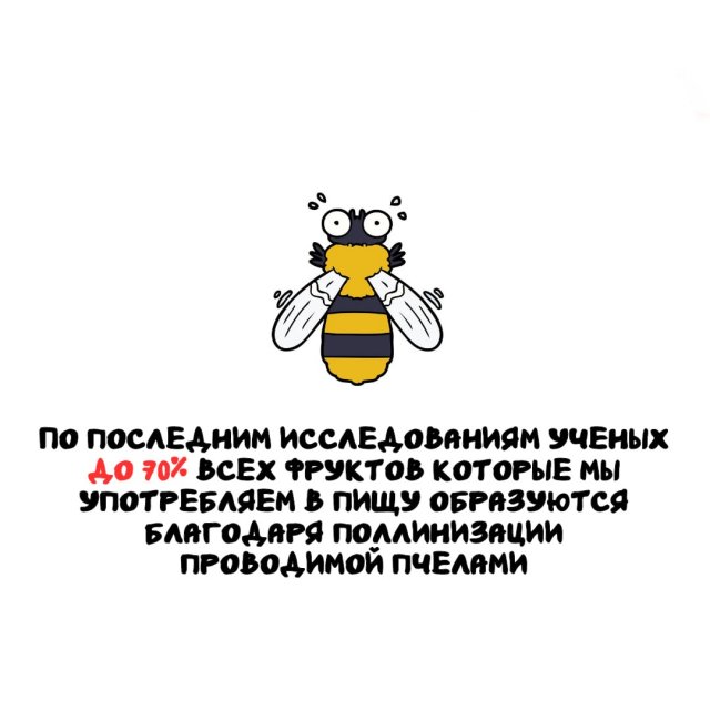 �����, ������� ������: �� �������-����� �� ������������ �������