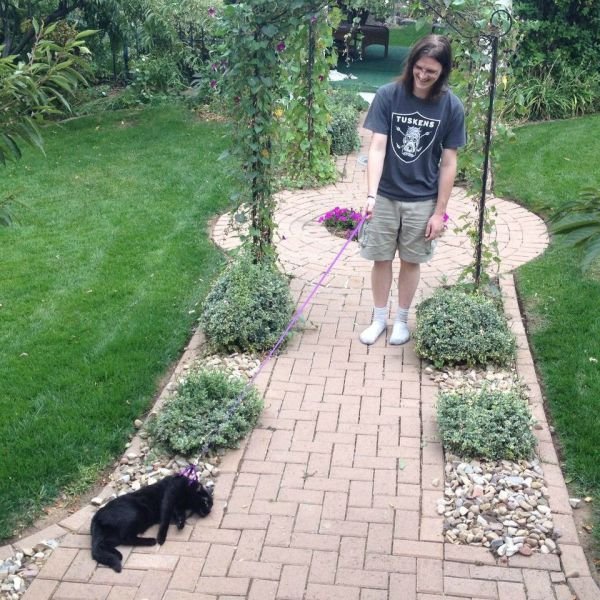 ���������� ��������