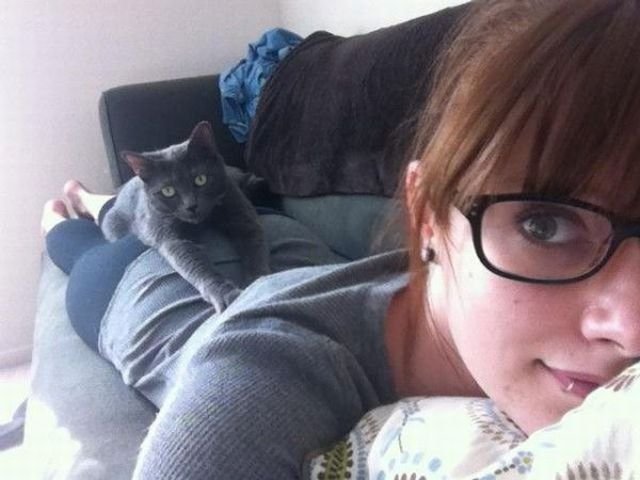 ���������� ��������