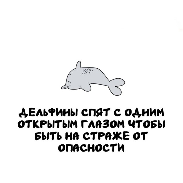 ���������� ����� �� ����� ������ �����