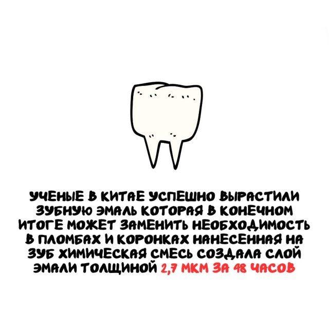 ���������� ����� �� ����� ������ �����