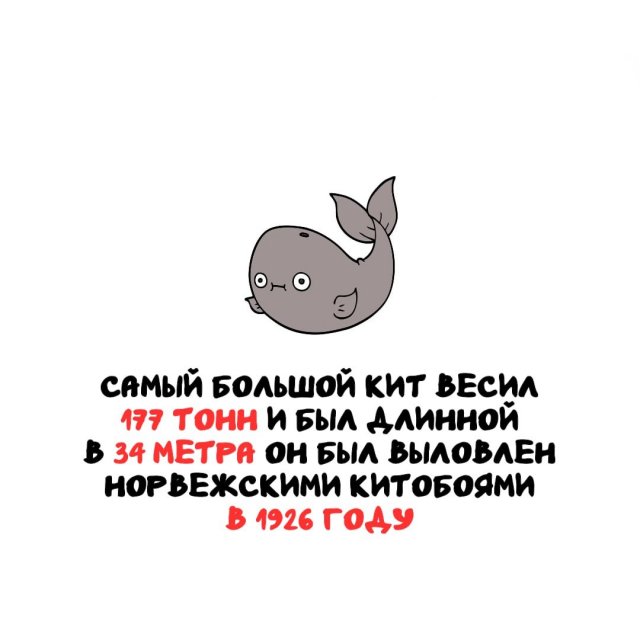 ���������� ����� �� ����� ������ �����