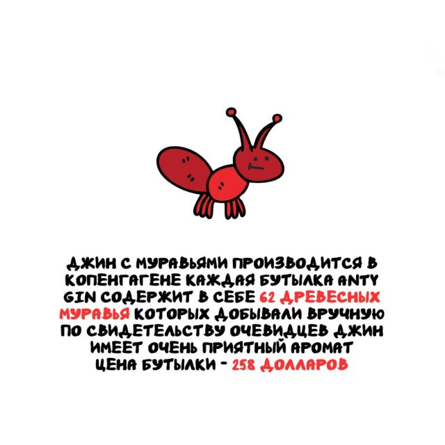 ���������� ����� �� ����� ������ �����