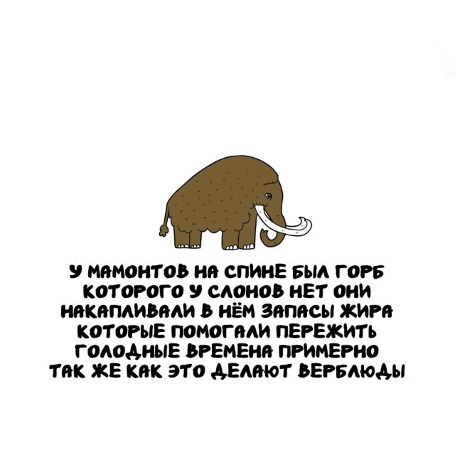 ���������� ����� �� ����� ������ �����