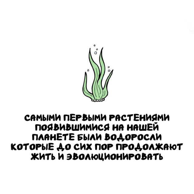 ���������� ����� �� ����� ������ �����