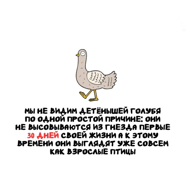 ���������� ����� �� ����� ������ �����