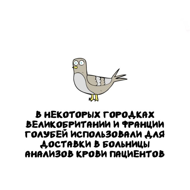 ���������� ����� �� ����� ������ �����