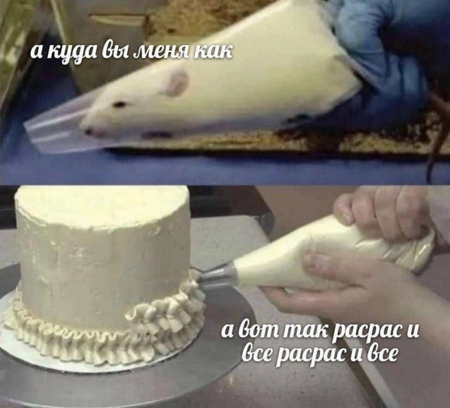 ������ ����� � ���� �� ���� � ����� �� ����