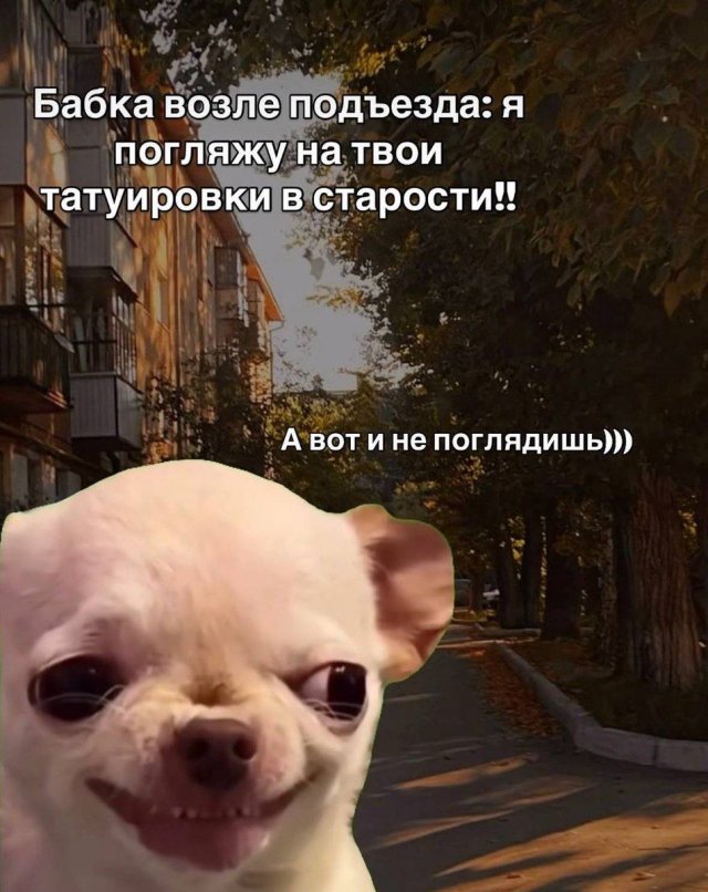 ������ ����� � ���� �� ���� � ����� �� ����