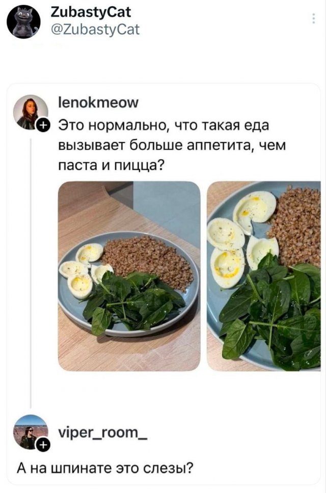 ���� ������� �������