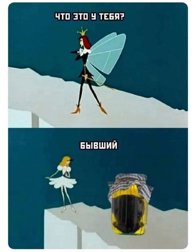 ���� ������� �������