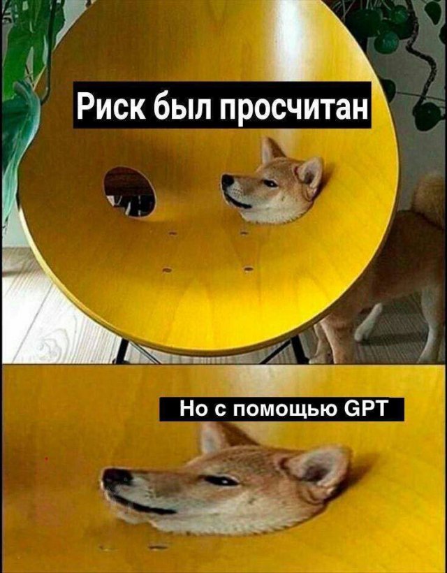 ���� ������� �������