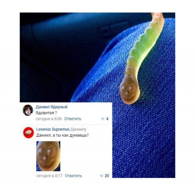 ���� ������� �������