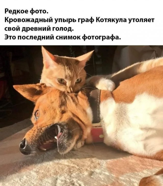 ������� ����� � ���� �� ���������