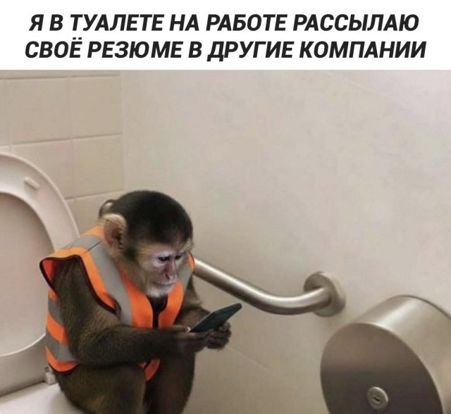 ������� ����� � ���� �� ���������