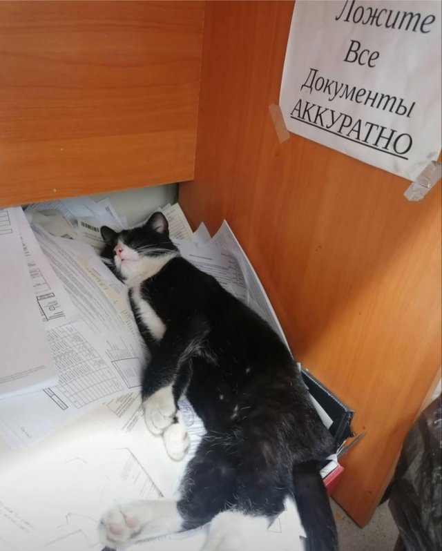 ������� ����� � ���� �� ���������