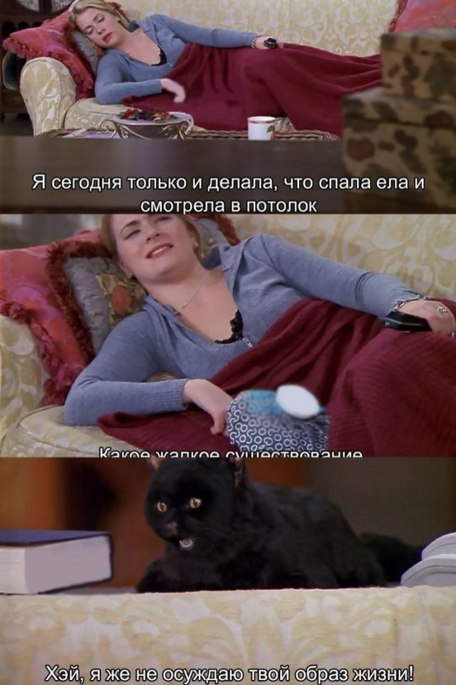 ������� ����� � ���� �� ���������