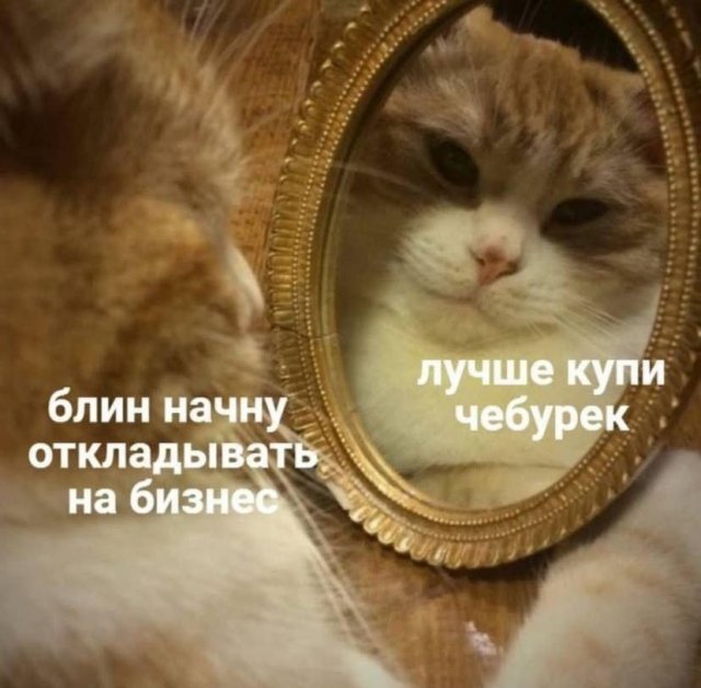 ������� ����� � ���� �� ���������