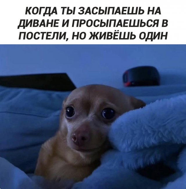 ������� ����� � ���� �� ���������