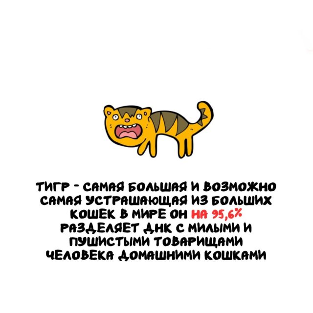 ���������� ����� �� ������ ����