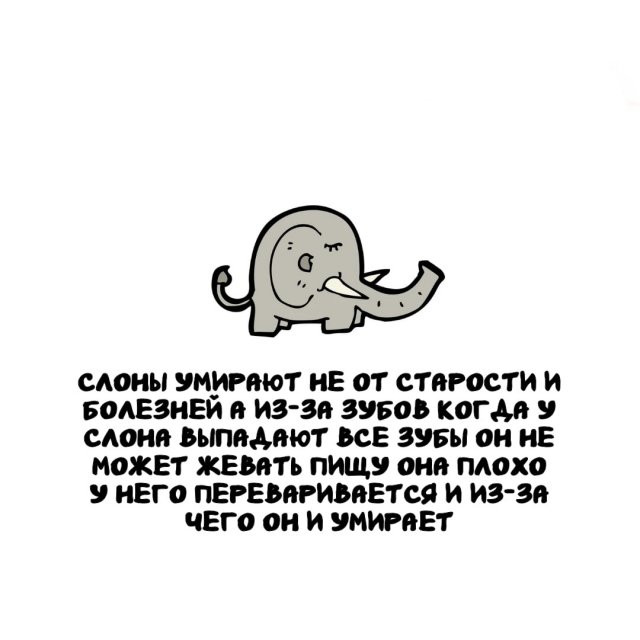 ���������� ����� �� ������ ����