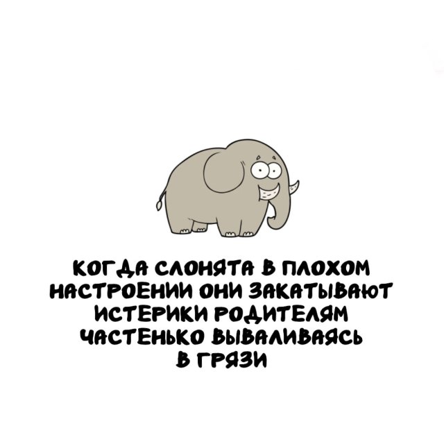 ���������� ����� �� ������ ����