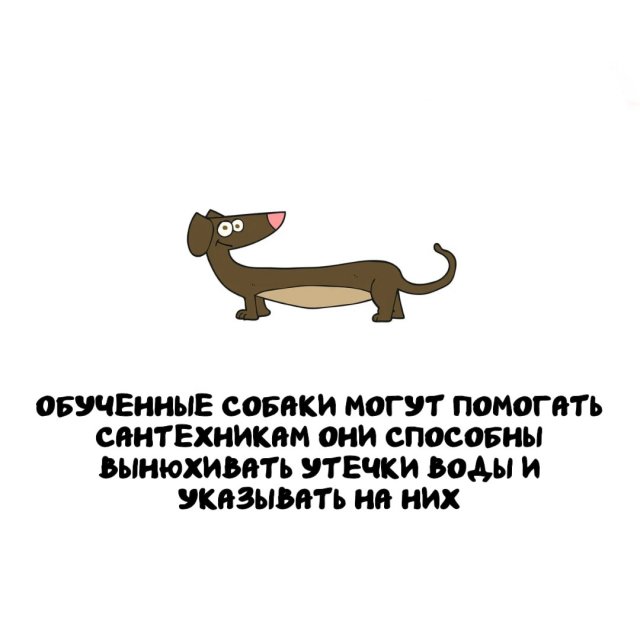 ���������� ����� �� ������ ����