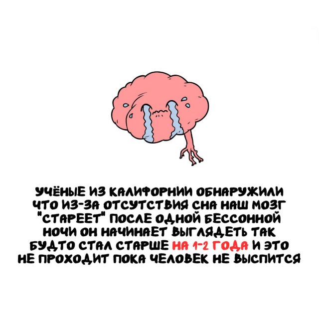 ���������� ����� �� ������ ����