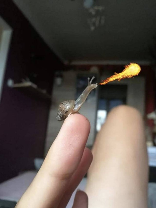 ���������� ��������