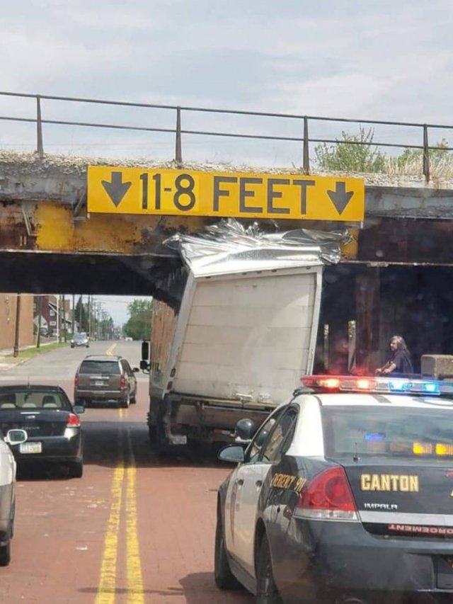 ���������� ��������