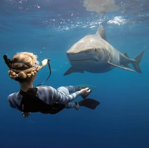 ���������� ��������