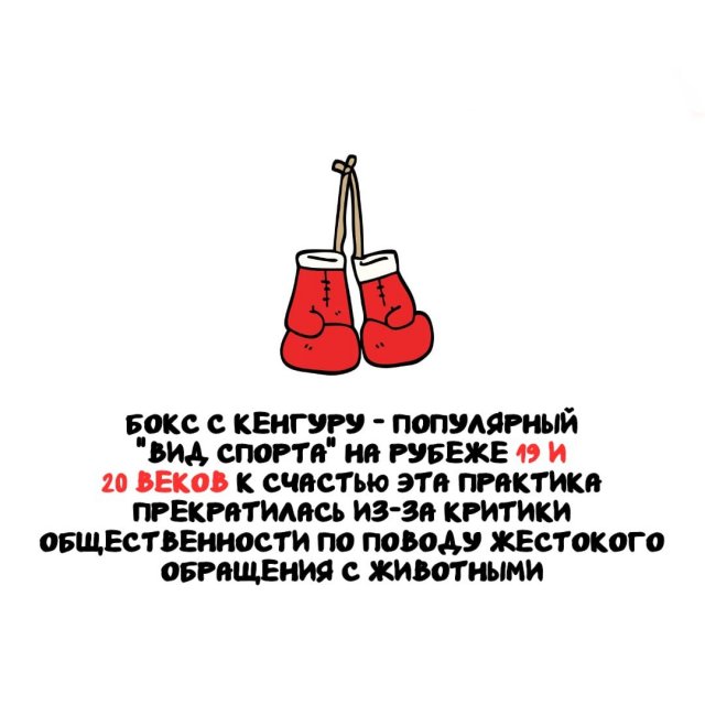 �����, ������� ���������� ��� ������