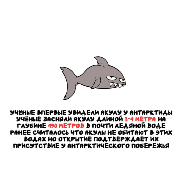 �����, ������� ���������� ��� ������