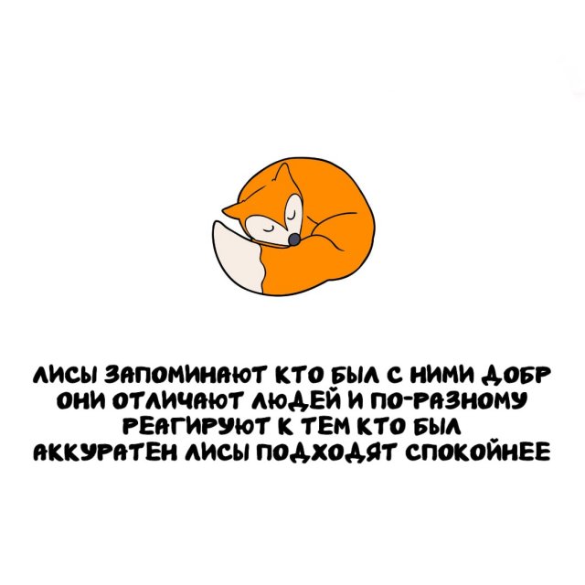 �����, ������� ���������� ��� ������