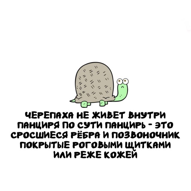 �����, ������� ���������� ��� ������