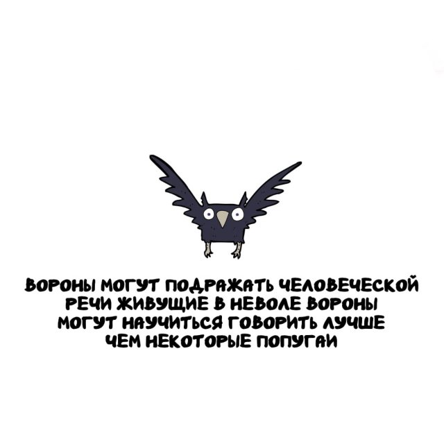 �����, ������� ���������� ��� ������