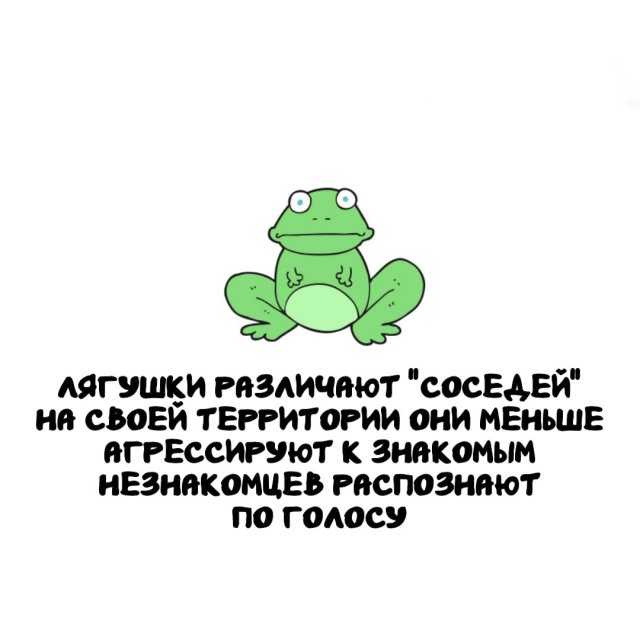 �����, ������� ���������� ��� ������