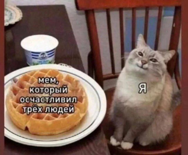 ������ ���� � ����� � ���������