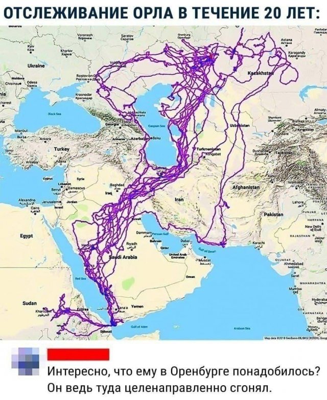 ������ ���� � ����� � ���������