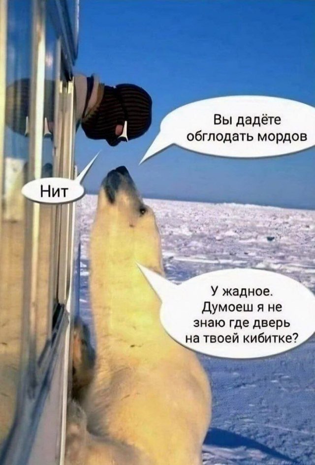 ������ ���� � ����� � ���������