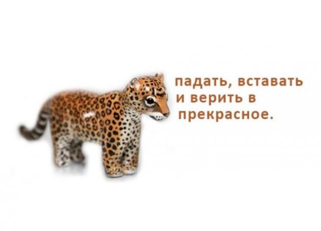 ������ ���� � ����� � ���������