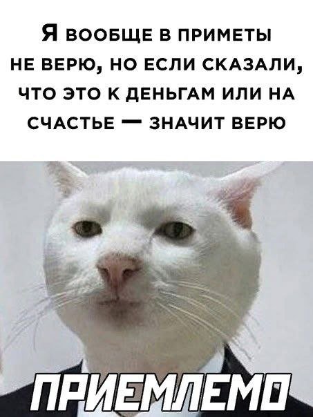 ������ ���� � ����� � ���������