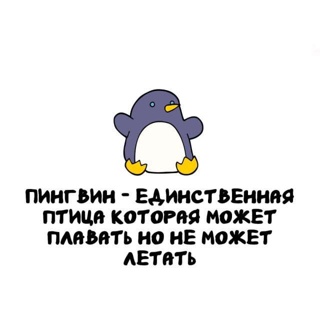 ���������� ����� �� ����� ������