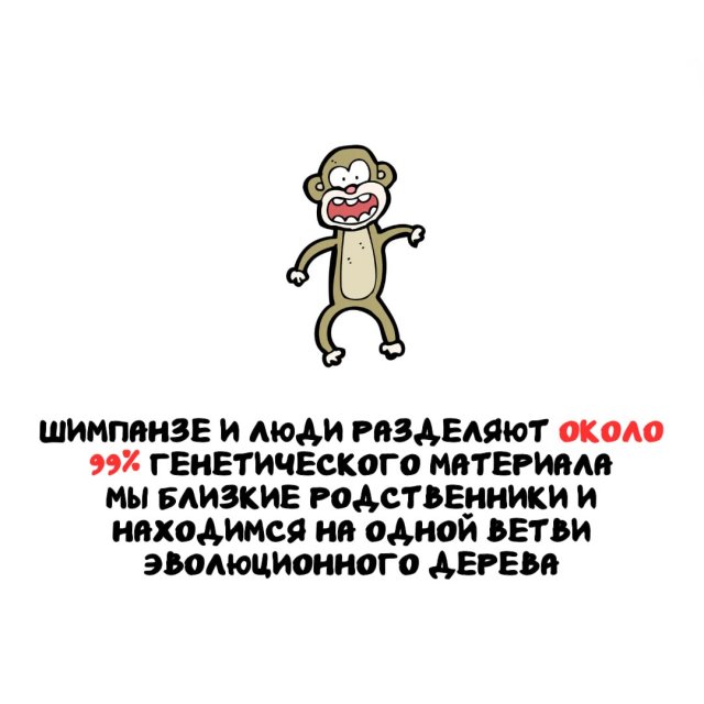 ���������� ����� �� ����� ������