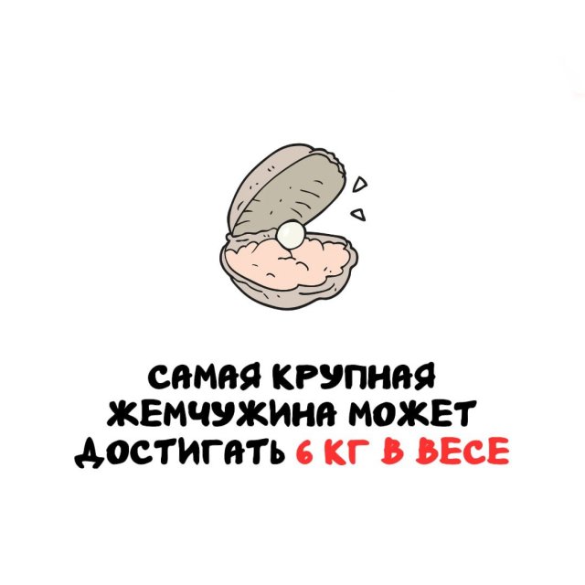 ���������� ����� �� ����� ������