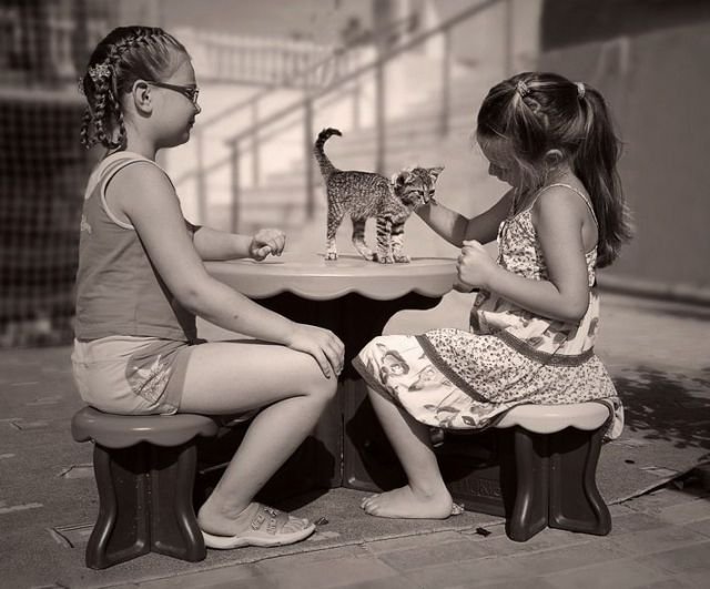 ���������� ��������